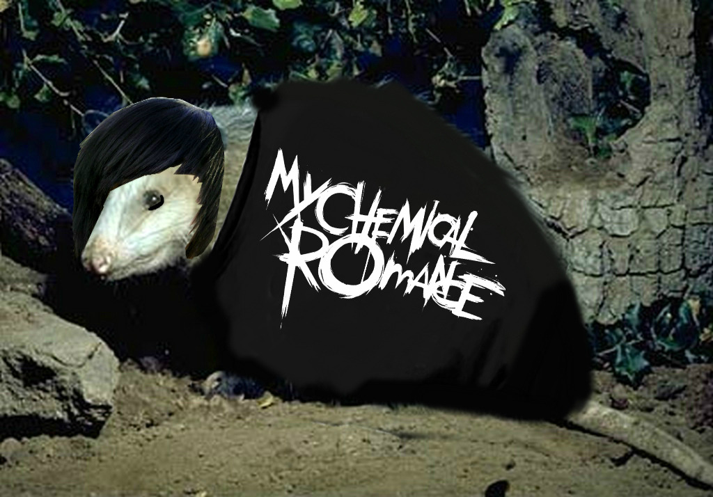 emo vačice miluje My Chemical Romance